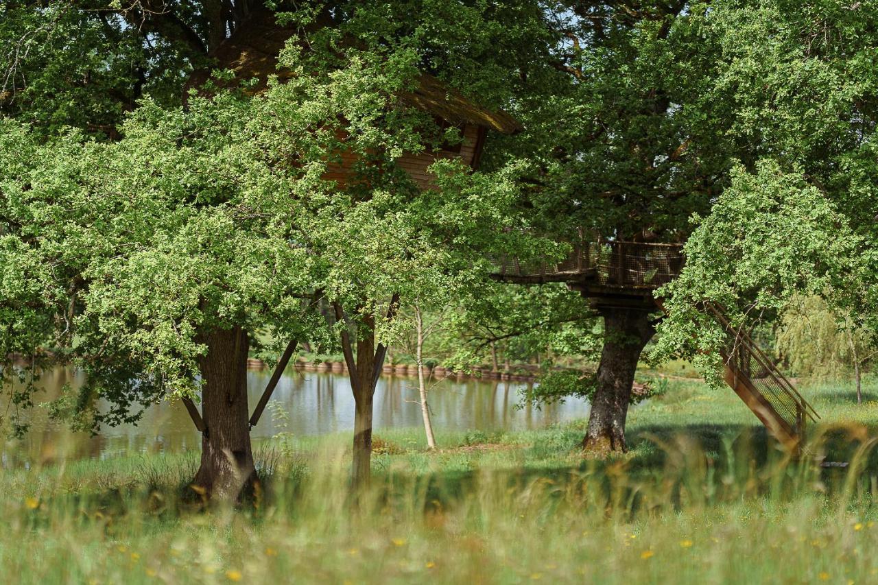 Cabane Perchee Dans Les Arbres Saint-Hilaire-en-Morvan Eksteriør billede