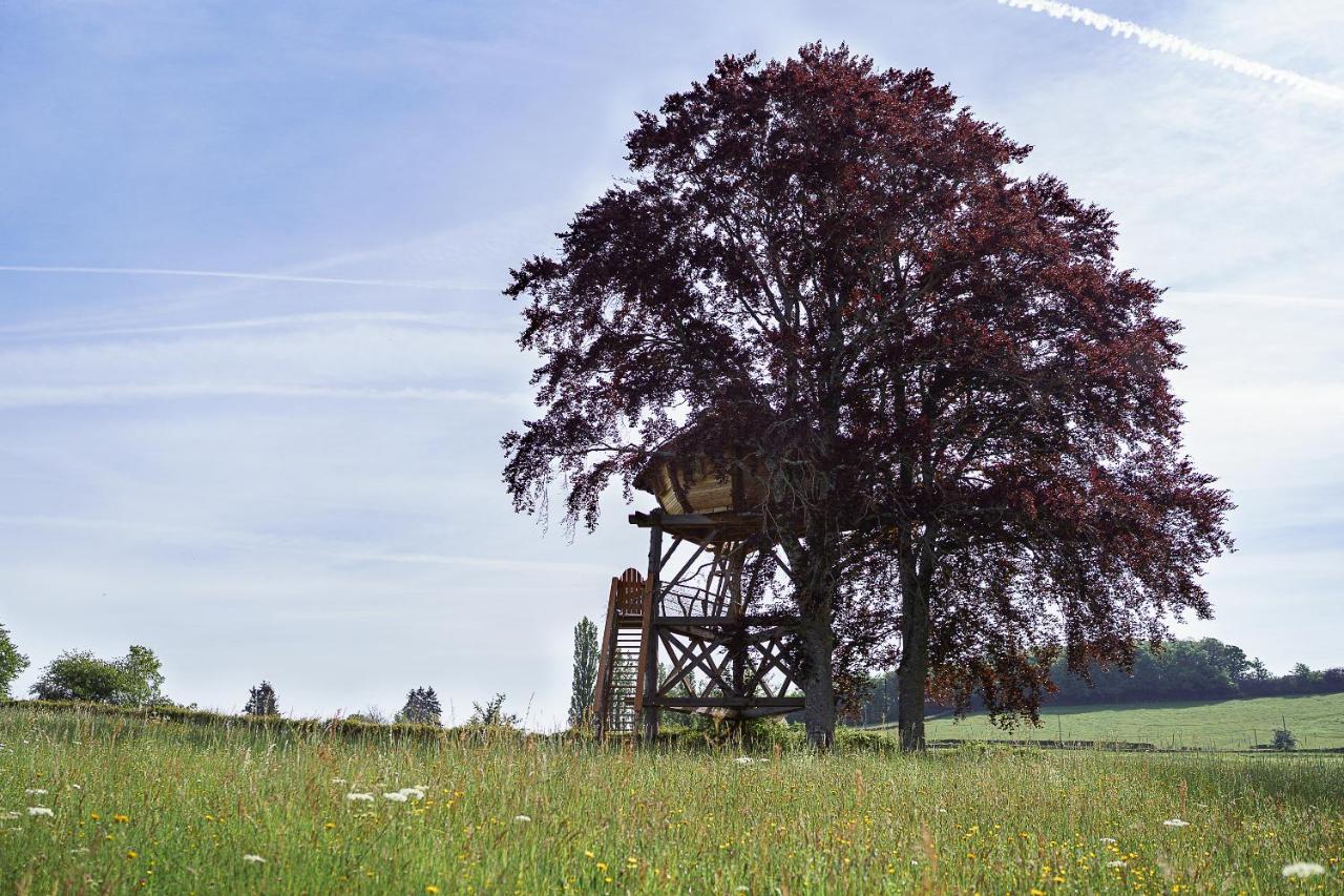 Cabane Perchee Dans Les Arbres Saint-Hilaire-en-Morvan Eksteriør billede