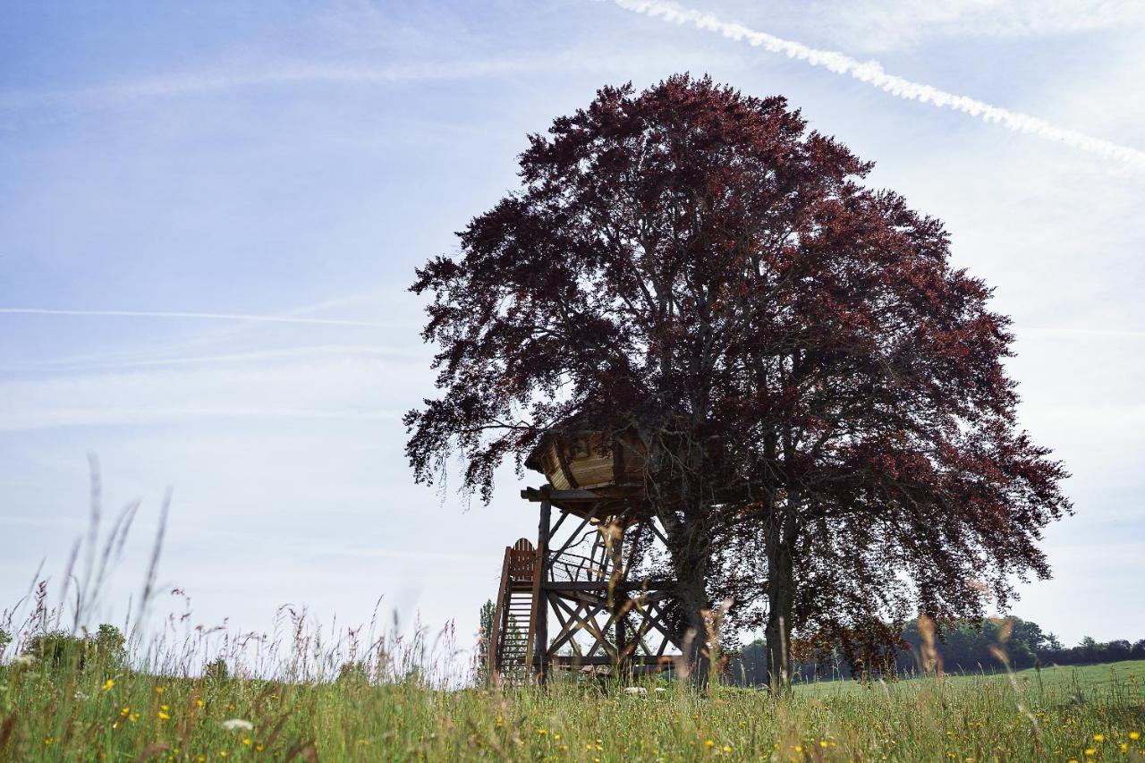 Cabane Perchee Dans Les Arbres Saint-Hilaire-en-Morvan Eksteriør billede