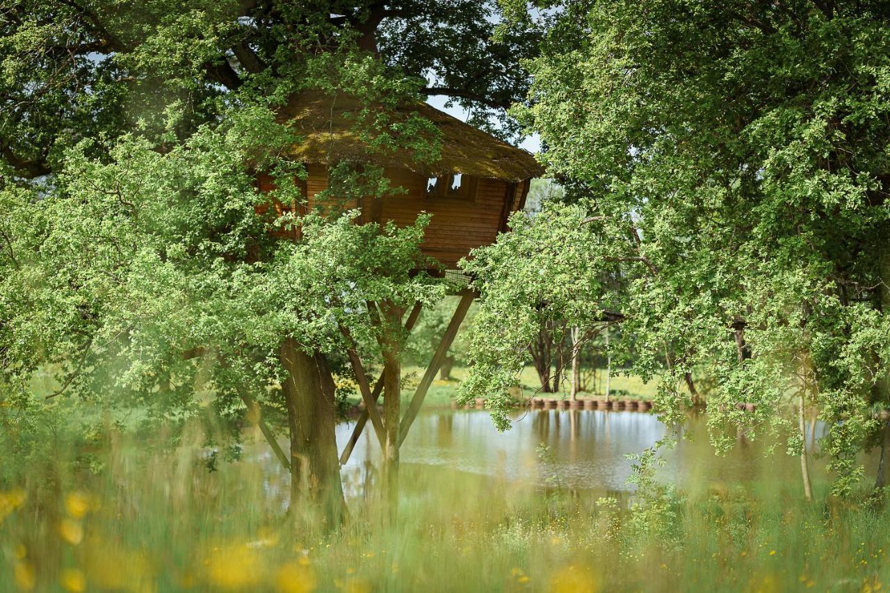 Cabane Perchee Dans Les Arbres Saint-Hilaire-en-Morvan Eksteriør billede