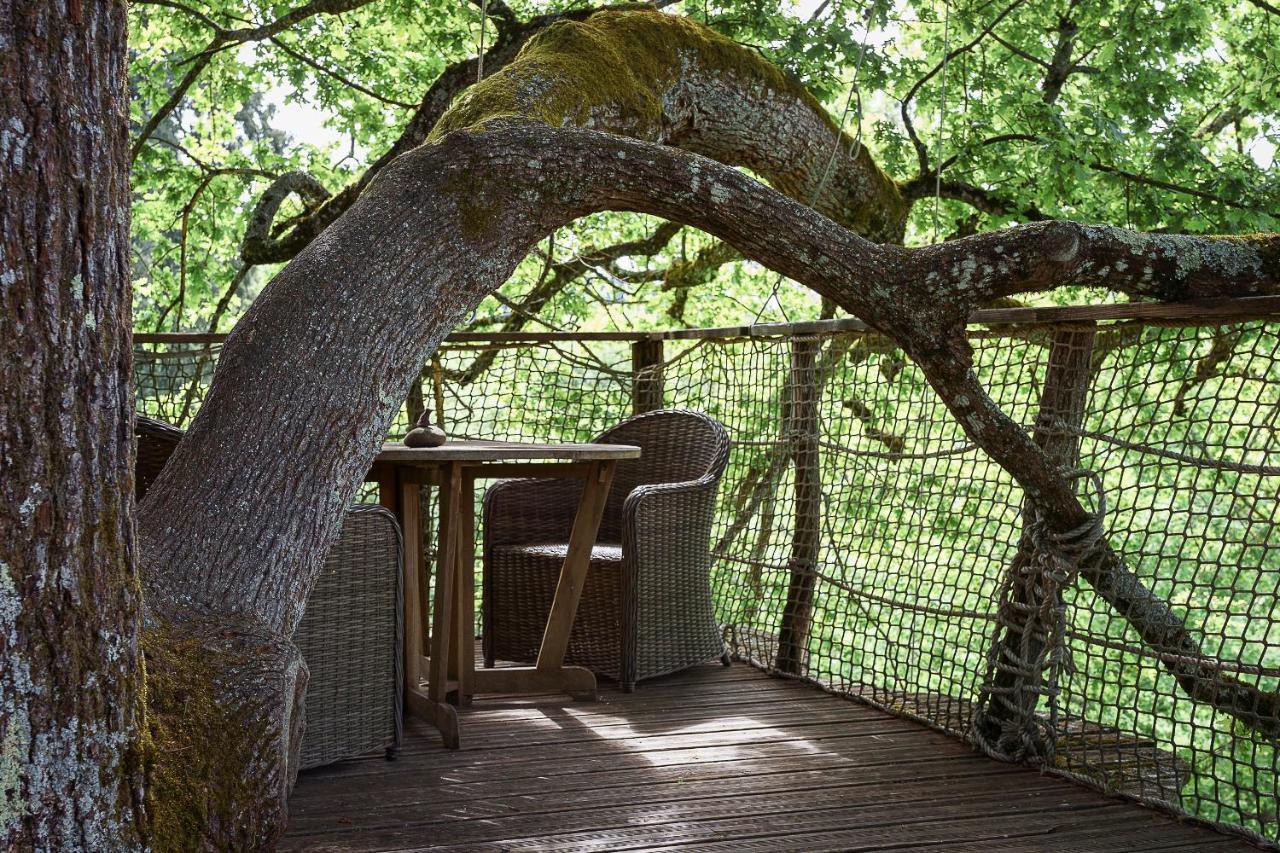 Cabane Perchee Dans Les Arbres Saint-Hilaire-en-Morvan Eksteriør billede