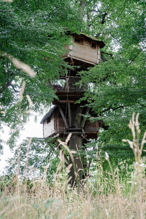 Cabane Perchee Dans Les Arbres Saint-Hilaire-en-Morvan Eksteriør billede