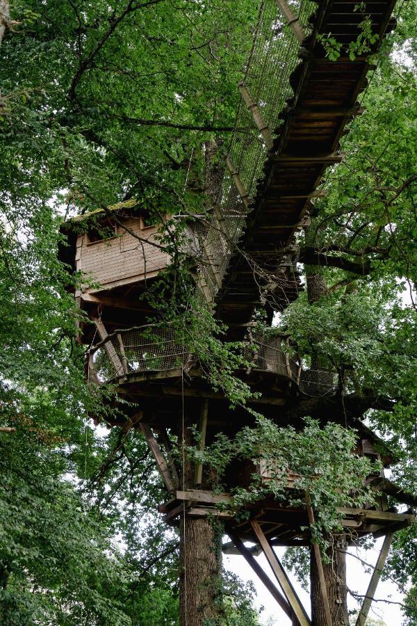 Cabane Perchee Dans Les Arbres Saint-Hilaire-en-Morvan Eksteriør billede