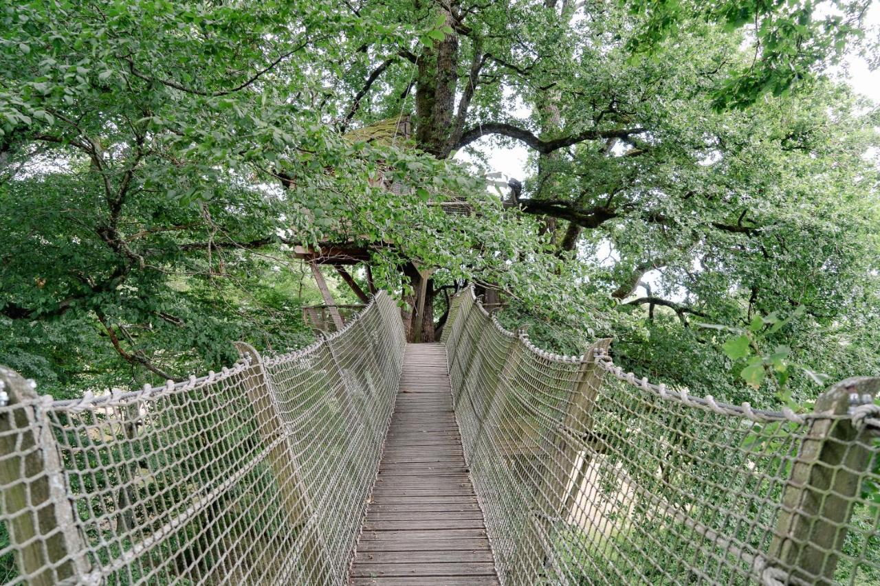 Cabane Perchee Dans Les Arbres Saint-Hilaire-en-Morvan Eksteriør billede