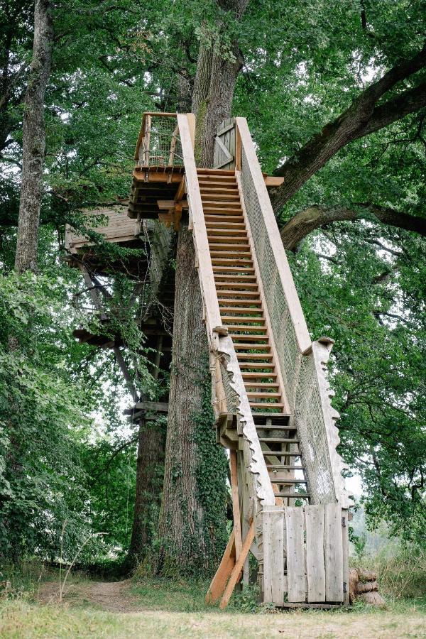 Cabane Perchee Dans Les Arbres Saint-Hilaire-en-Morvan Eksteriør billede