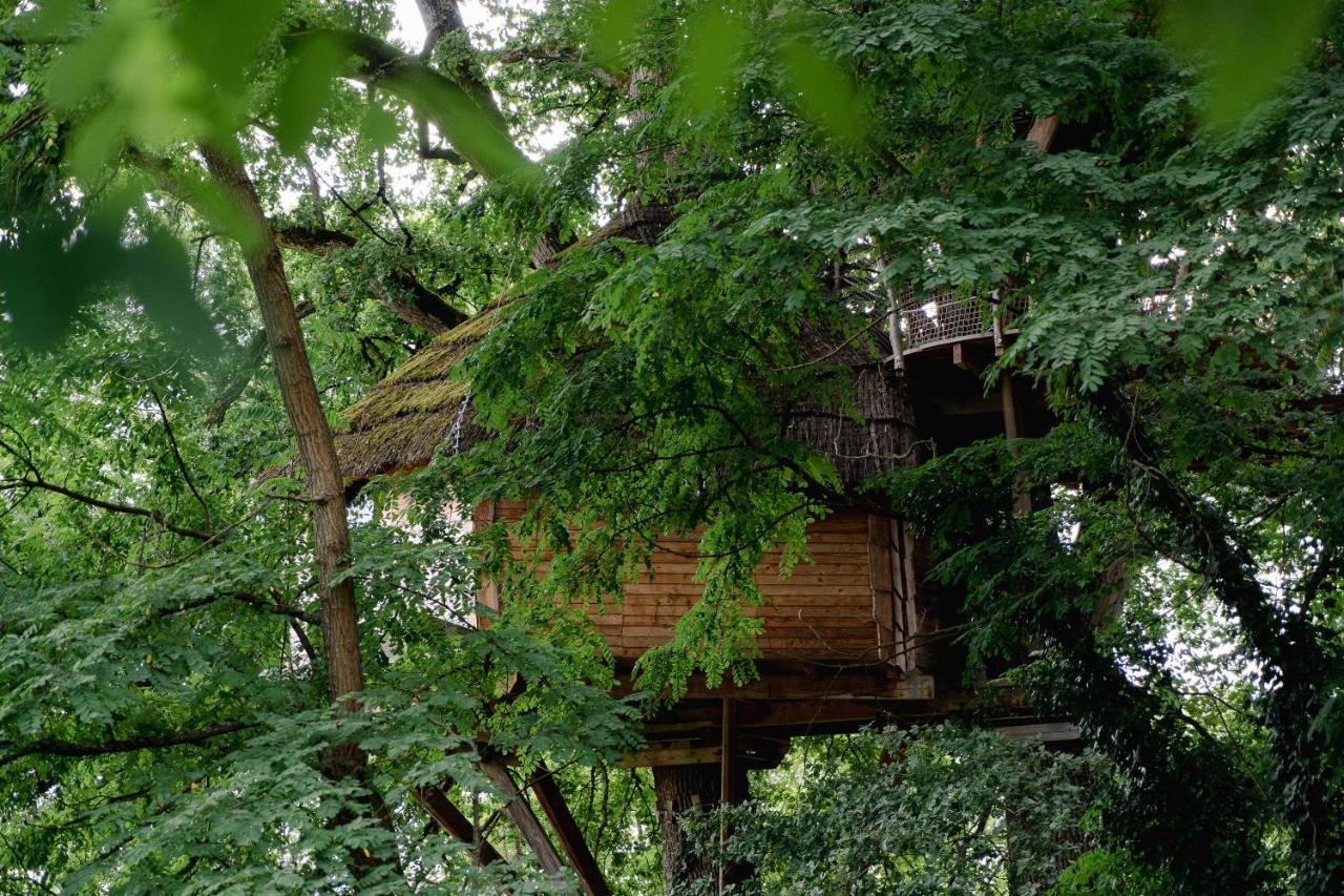 Cabane Perchee Dans Les Arbres Saint-Hilaire-en-Morvan Eksteriør billede