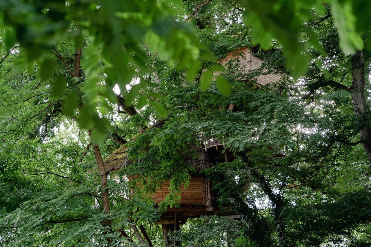 Cabane Perchee Dans Les Arbres Saint-Hilaire-en-Morvan Eksteriør billede